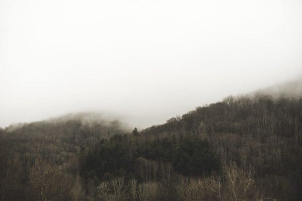 sethdortch_20190217_0301 sethdortch_20190217_0301
